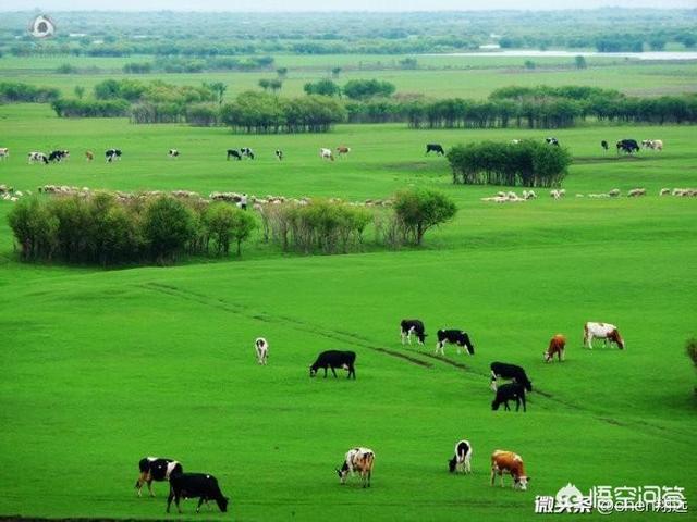 cg鲨鱼真的假的:人类起源于相同的祖先，那么全世界的物种是否同源？