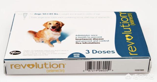 狗狗钩虫病用什么药:养狗一般用什么药可以防治疾病？