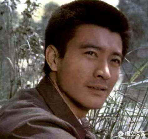 刘威妻子:陈桥兵变成功有哪些因素？