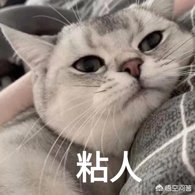 金牛男喜欢一个人除了愿意给她花钱,还会有其他的表现吗？