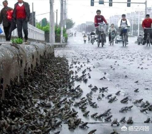 济川地震灵异事件:深夜碰到八级大地震，怎么尽可能地活下去？