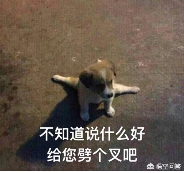 你有哪些珍藏了很久还舍不得删掉的表情包