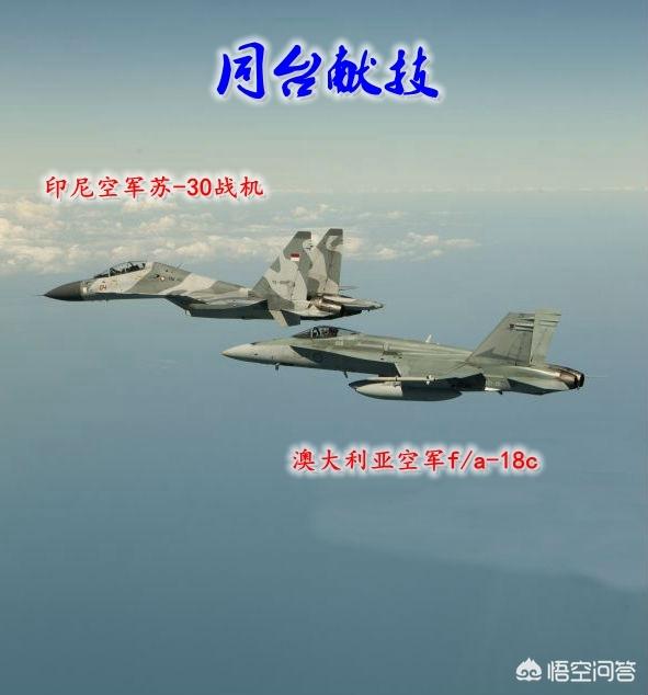 鹰敖犬图片:苏27和F18谁的硬实力更牛？ 敖犬个人资料图片