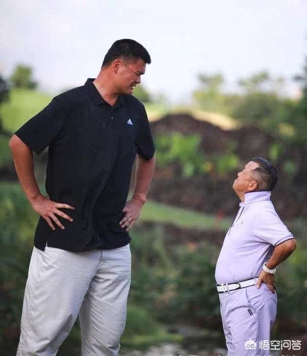 韩德君抱起潘长江:你觉得NBA球星和姚明一起合影会是什么效果