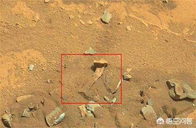 卫星有没有拍到龙，火星上是否真的发现了霸王龙头骨