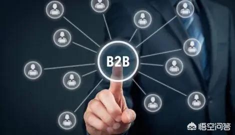 网站建设 b2b(网站建设公司排名)