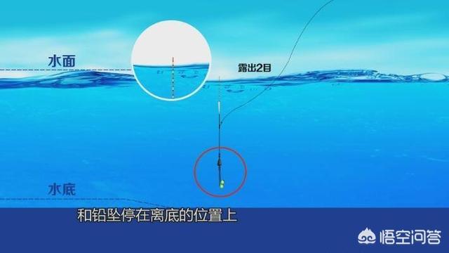 亚峰水族箱专用药片:应该怎样分别应对鱼儿上浮的不同情况？