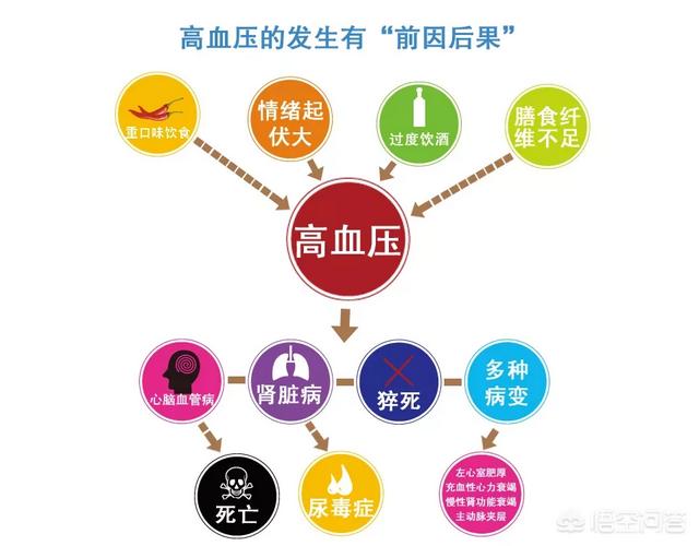 池舒欣:山东梅拉德能源动力科技有限公司介绍