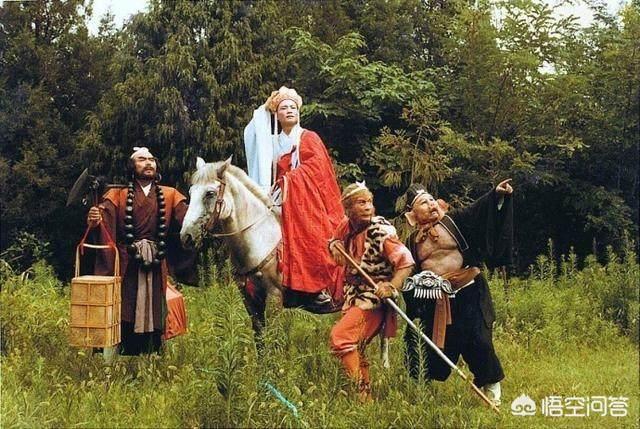 藏獒驮佛:为什么《西游记》中师兄弟三人都不肯背唐僧过河？ 藏獒驮佛的后代