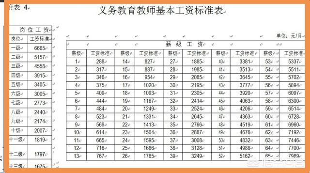 吉林五角枫的价格:教师的工资会涨吗？你现在一个月拿多少工资？