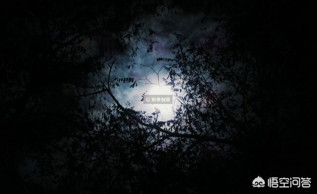 发生在新房内的灵异事件:如果在房子里听见诡异声音，你会去查看吗？