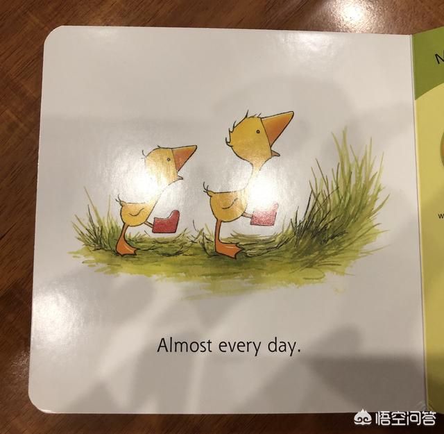 米菲的故事:有哪些告诉孩子不冷漠的绘本？