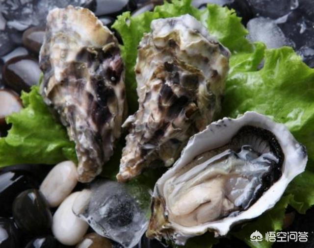 海蛎怎么做好吃?有营养价值吗?哪些人不能吃?