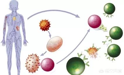 风靡<a href=https://maguai.com/list/256-0-0.html target=_blank class=infotextkey><a href=https://maguai.com/list/256-0-0.html target=_blank class=infotextkey>朋友圈</a></a>的儿科用药宝典靠谱:宝宝<a href=https://maguai.com/marketing/6097.html target=_blank class=infotextkey><a href=https://maguai.com/marketing/6097.html target=_blank class=infotextkey>感冒</a></a>了怎么办？有好用的儿童<a href=https://maguai.com/marketing/6097.html target=_blank class=infotextkey><a href=https://maguai.com/marketing/6097.html target=_blank class=infotextkey>感冒</a></a>药推荐吗？