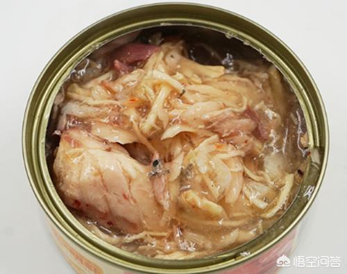 爪哇猫感冒发烧怎么办:猫咪感冒怎么办？猫咪一直舔鼻子打喷嚏？