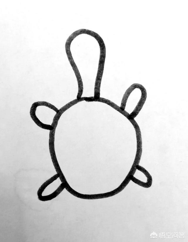 平胸龟简笔画:儿童简笔画精选-如何一只水里游泳的乌龟？