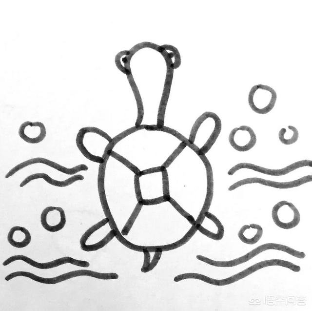 平胸龟简笔画:儿童简笔画精选-如何一只水里游泳的乌龟？