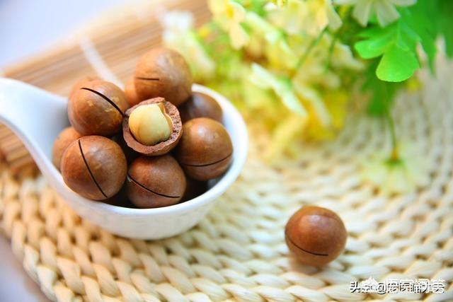 尼奥宠物 美食:有哪些食物对于我们是美食，对于宠物却是毒药？
