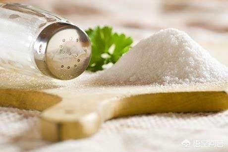 烧菜只放盐对身体健康吗，食盐对做菜的影响大不大选择哪种食用盐比较好