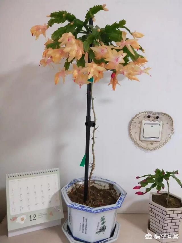 求推荐比较靠谱的网购平台,价格便宜的那种？
