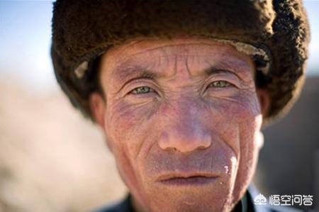 甘肃300公里灵异事件:甘肃的黄土高坡感觉土挺厚的，怎么只有黄土不长树呢？