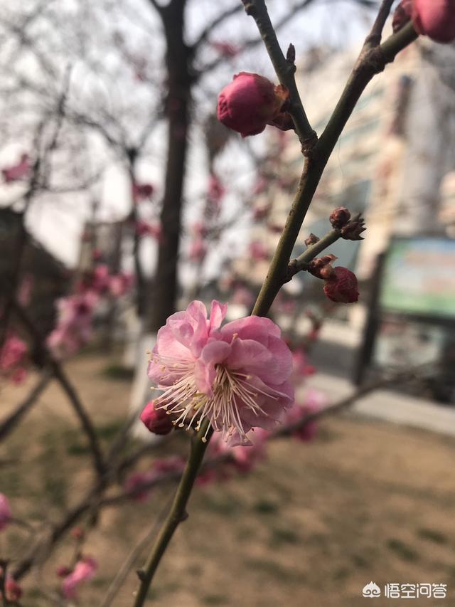 古诗里面有哪些容易让人想歪的句子？