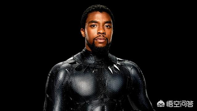 美国队长3彩蛋中美队等人被黑豹收留在瓦坎达为何在黑豹中不出来帮