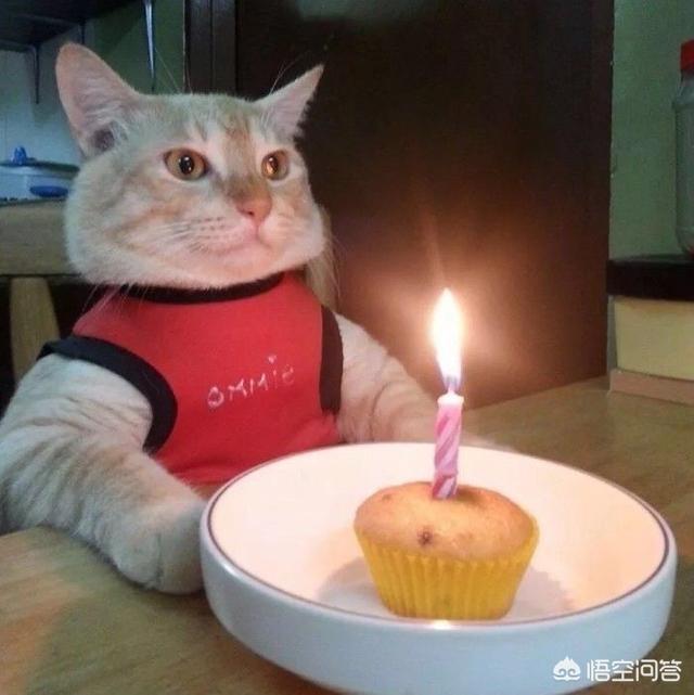 <a href=https://maguai.com/list/87-0-0.html target=_blank class=infotextkey>银行</a>6月底将关闭第三方支付，支付宝和微信里面的钱该怎样提现