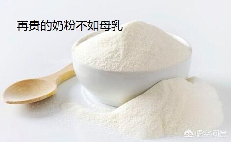 新生儿喝哪一种奶粉好一点？