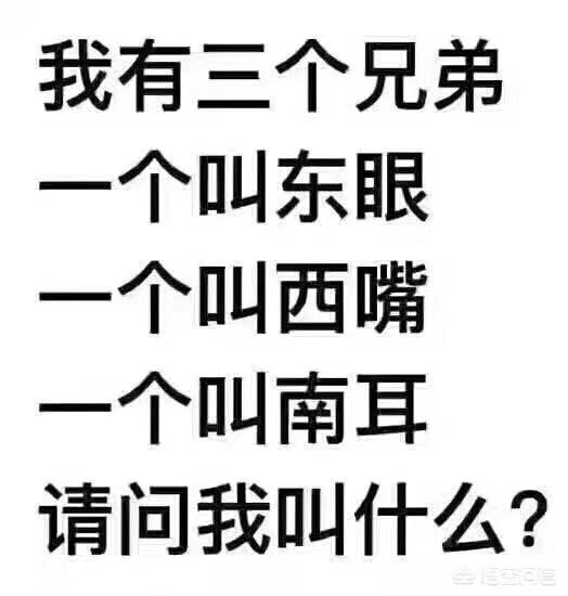 一个比一个搞笑，你觉得有哪些段子是最搞笑的