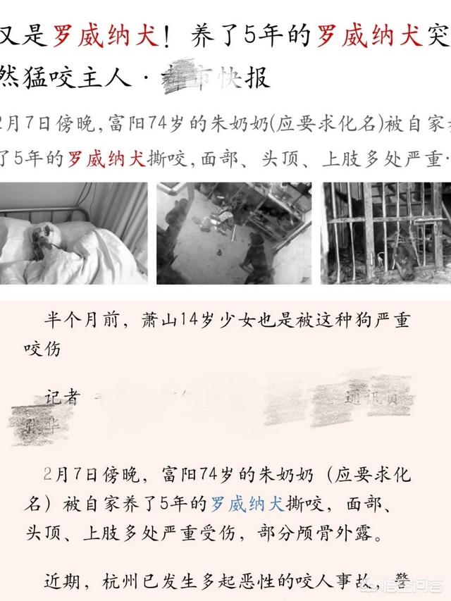罗威纳吧:罗威纳vs卡斯罗，谁更优秀？