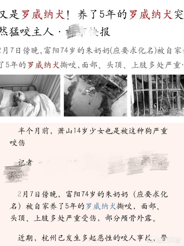 罗威纳警犬图片大全:罗威纳犬价格怎么样？罗威纳犬好养吗？ 罗威纳适合当警犬么