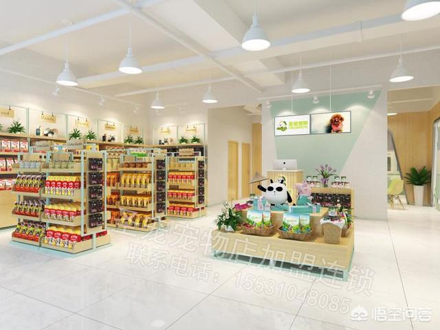 经营宠物护理店:怎样才能开一家赚钱的宠物店？有哪些经营技巧分享？