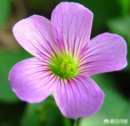 你觉得平凡和平庸的差别是什么？