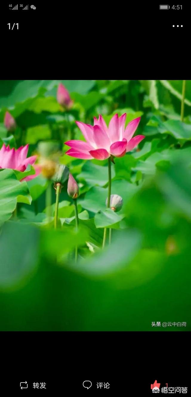 超级聪明阿凡提1:回忆杀！80后、90后，小时候看的动画片，你们还记得哪些？