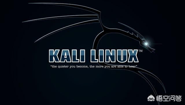 黑客用什么工具，黑客一般用什么操作系统，KaliLinux吗？
