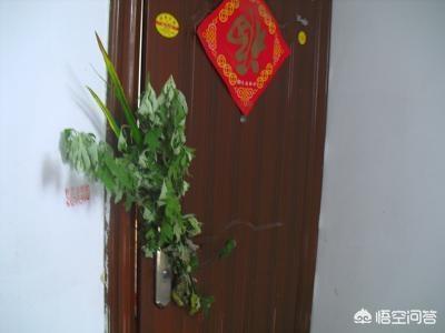 端午节挂艾草:端午节挂艾叶大门要挂几把，怎样挂