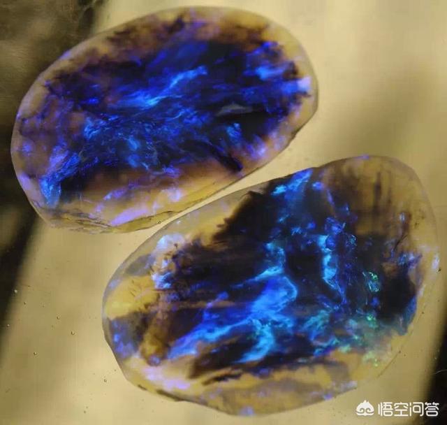 发现恐龙新物种:近期有哪些新发现的恐龙物种？