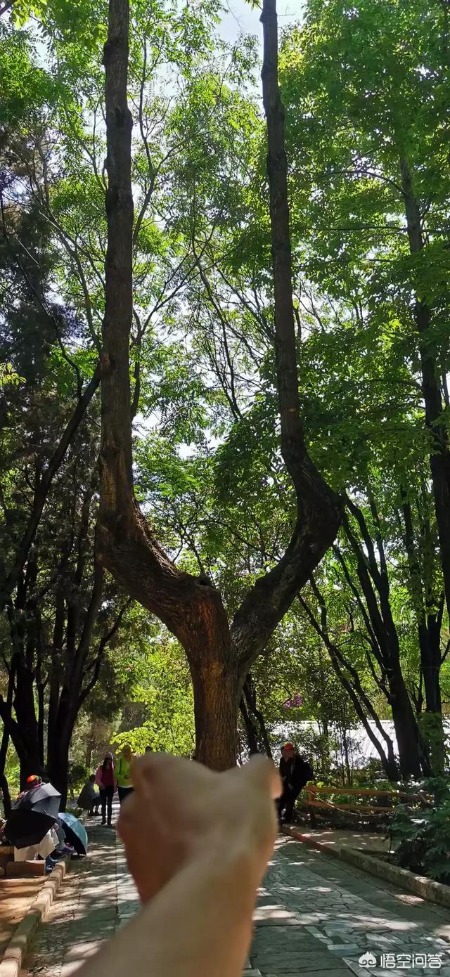 自驾游拍摄模板:自驾游活动方案模板