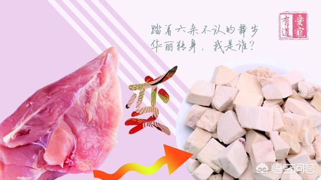 平底锅宠物零食做法:玛格丽特饼干怎么做？没烤箱能做吗？