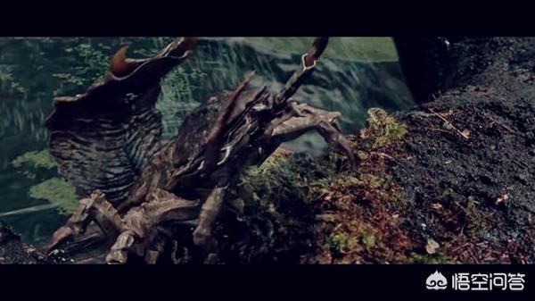 怪兽档案第四季阴影人，电影《金刚》骷髅岛里面出现的虫子是否是你童年的阴影