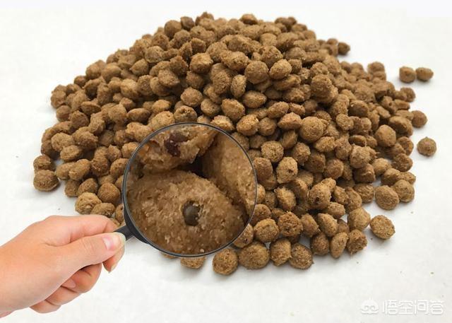 斗牛犬躲冰箱避暑视频:狗狗中暑时，如何正确降温？ 斗牛犬躲冰箱避暑图