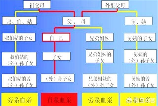 近亲家族大作战1:听别人说近亲是不能结婚生孩子的，这是为什么？