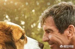 狗狗心事2最新章节:2岁半宝宝比较叛逆，怎样做到不打她教育好让她乖乖听话？