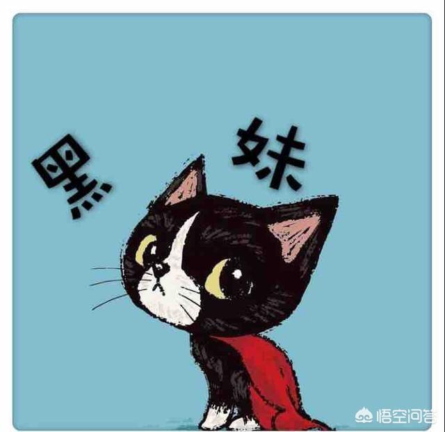 三毛猫截图:三毛猫福尔摩斯 幼猫拉肚子但不呕吐，精神状况良好是什么原因引起的？怎么解决？