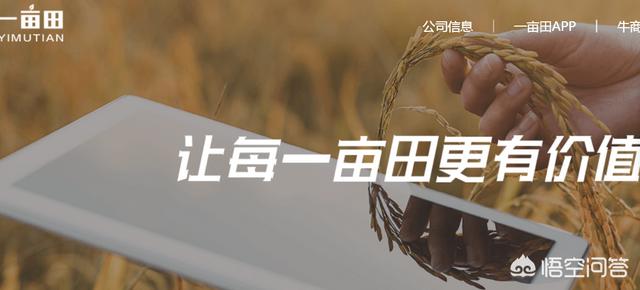 有没有哪些三农网可以找到果农拿到一手货源？
