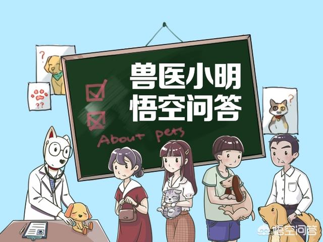为什么有的猫不发腮？