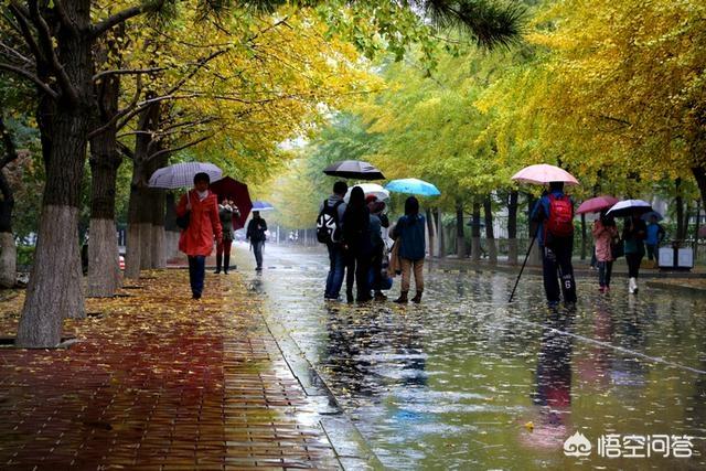 沈阳大学怎么样(沈阳大专有哪些学校)