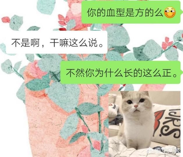 情商高的男生都是怎么撩妹的