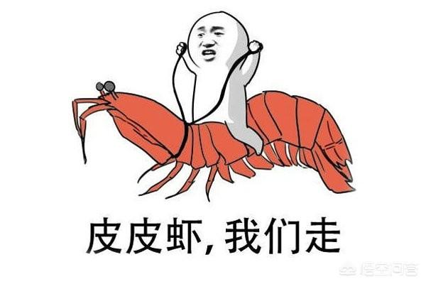 图样图森破出处有没有哪些当时火到不行现在压根没人记得的梗或段子